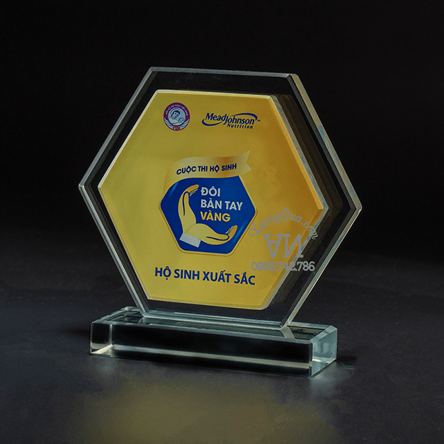 Kỷ niệm chương hội thi nội bộ