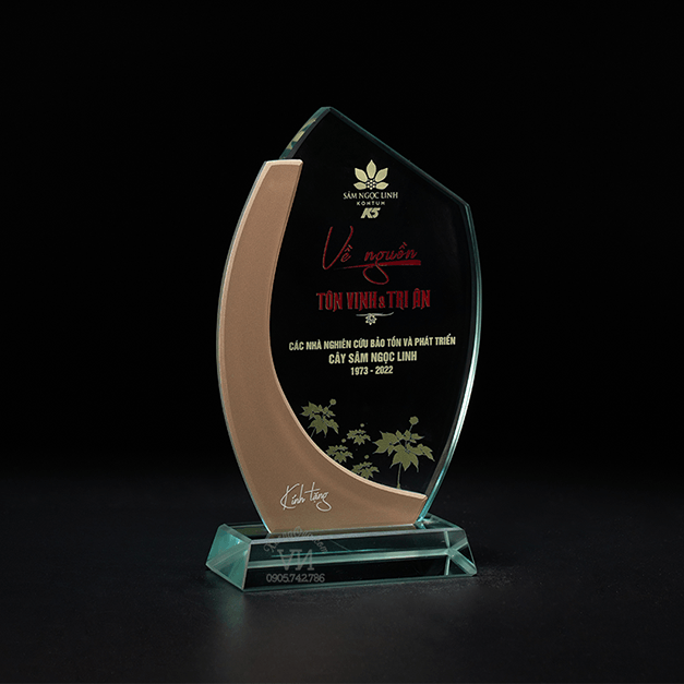 Kỷ niệm chương tôn vinh đối tác chiến lược