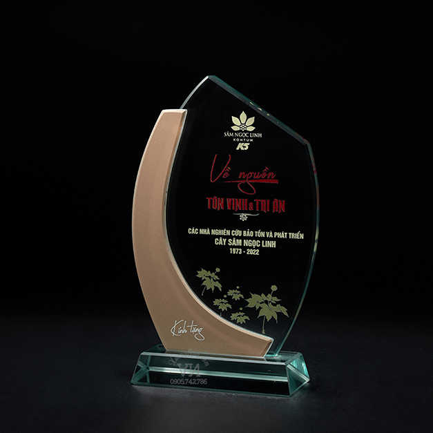 Kỷ niệm chương tôn vinh đối tác chiến lược